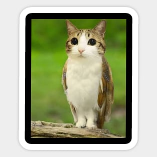 Meowl cat viral Meme design tiktok Instagram Gen z internet meme funny design Sticker